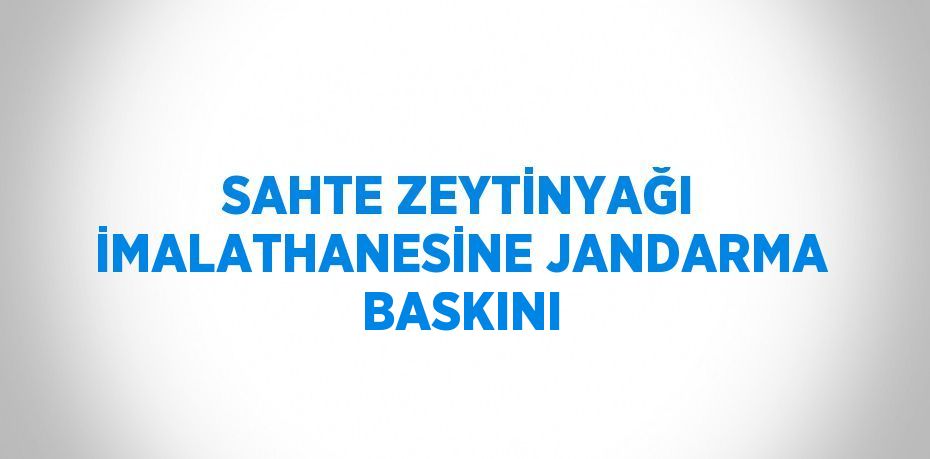 SAHTE ZEYTİNYAĞI İMALATHANESİNE JANDARMA BASKINI