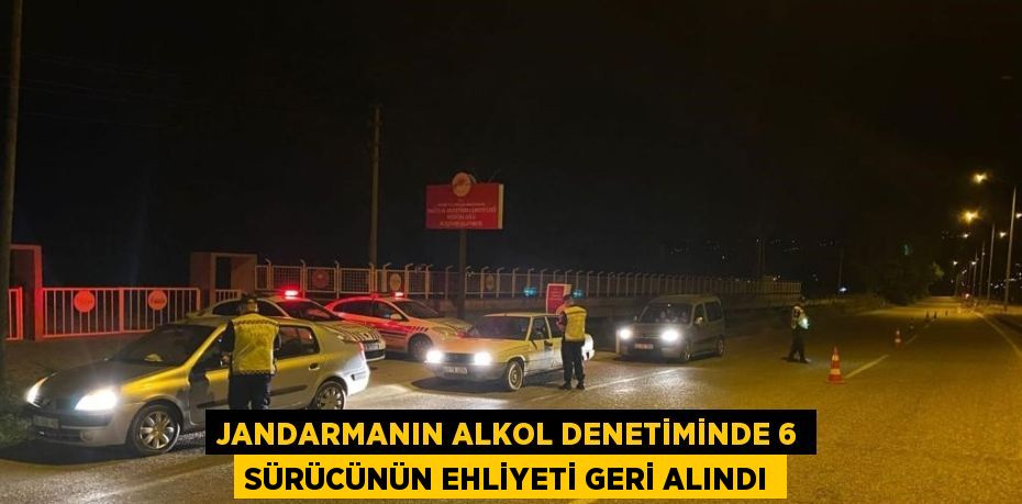 JANDARMANIN ALKOL DENETİMİNDE 6 SÜRÜCÜNÜN EHLİYETİ GERİ ALINDI