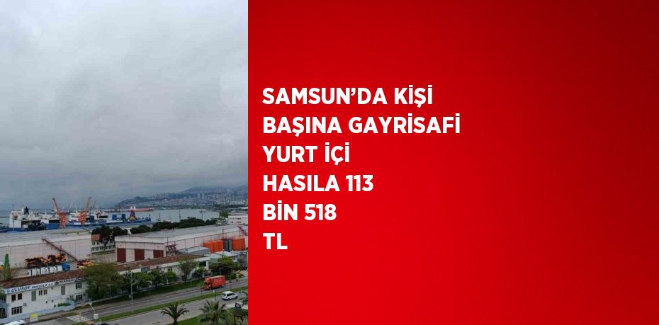 SAMSUN’DA KİŞİ BAŞINA GAYRİSAFİ YURT İÇİ HASILA 113 BİN 518 TL