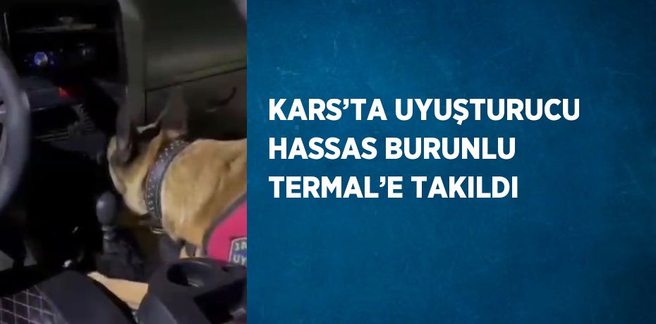 KARS’TA UYUŞTURUCU HASSAS BURUNLU TERMAL’E TAKILDI