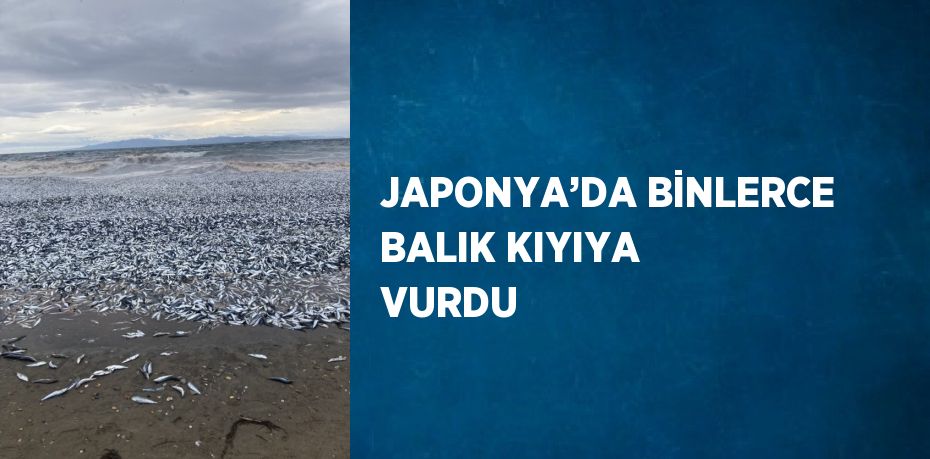 JAPONYA’DA BİNLERCE BALIK KIYIYA VURDU