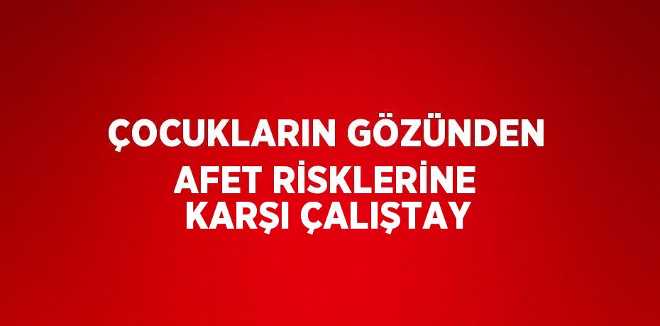 ÇOCUKLARIN GÖZÜNDEN AFET RİSKLERİNE KARŞI ÇALIŞTAY