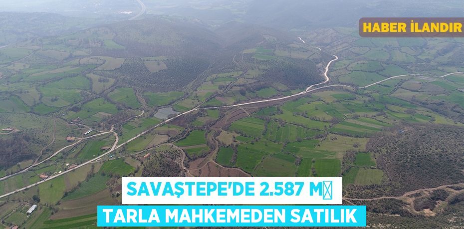 Savaştepe'de 2.587 m² tarla mahkemeden satılık