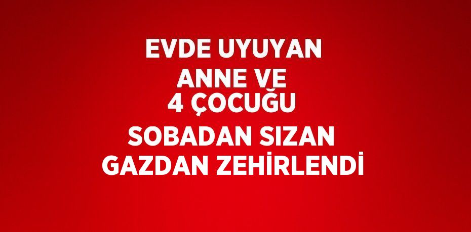 EVDE UYUYAN ANNE VE 4 ÇOCUĞU SOBADAN SIZAN GAZDAN ZEHİRLENDİ