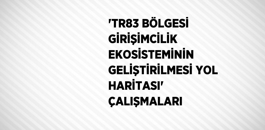 'TR83 BÖLGESİ GİRİŞİMCİLİK EKOSİSTEMİNİN GELİŞTİRİLMESİ YOL HARİTASI' ÇALIŞMALARI