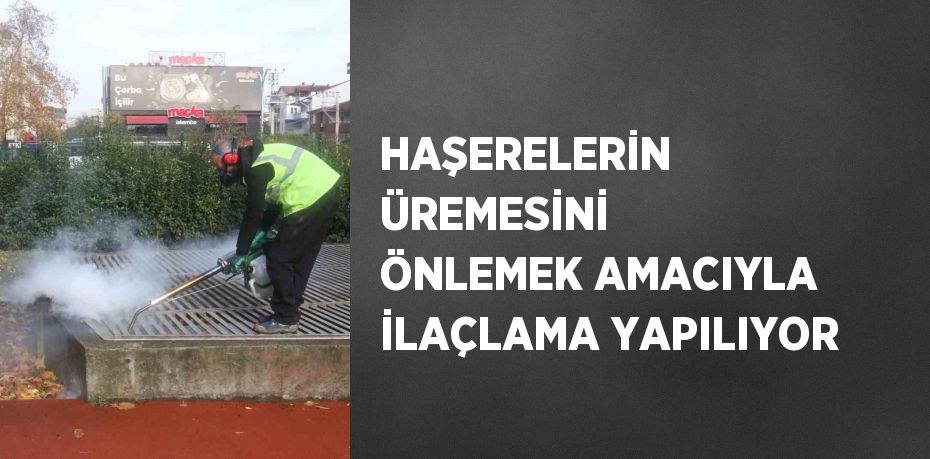 HAŞERELERİN ÜREMESİNİ ÖNLEMEK AMACIYLA İLAÇLAMA YAPILIYOR