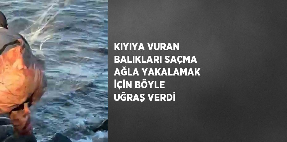 KIYIYA VURAN BALIKLARI SAÇMA AĞLA YAKALAMAK İÇİN BÖYLE UĞRAŞ VERDİ