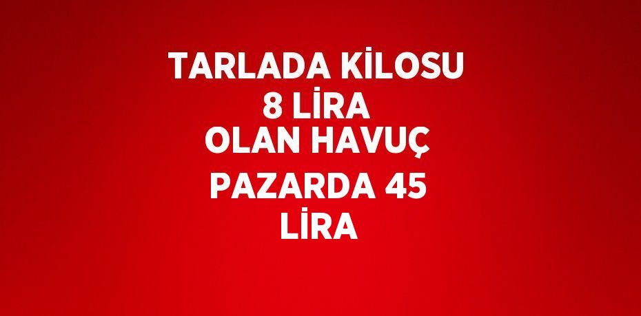 TARLADA KİLOSU 8 LİRA OLAN HAVUÇ PAZARDA 45 LİRA