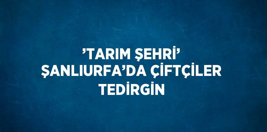 ’TARIM ŞEHRİ’ ŞANLIURFA’DA ÇİFTÇİLER TEDİRGİN