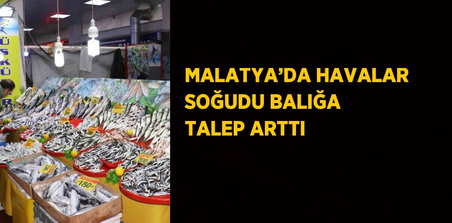 MALATYA’DA HAVALAR SOĞUDU BALIĞA TALEP ARTTI