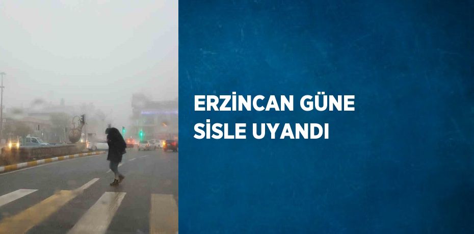 ERZİNCAN GÜNE SİSLE UYANDI