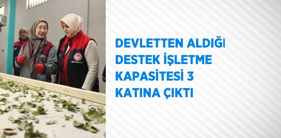 DEVLETTEN ALDIĞI DESTEK İŞLETME KAPASİTESİ 3 KATINA ÇIKTI