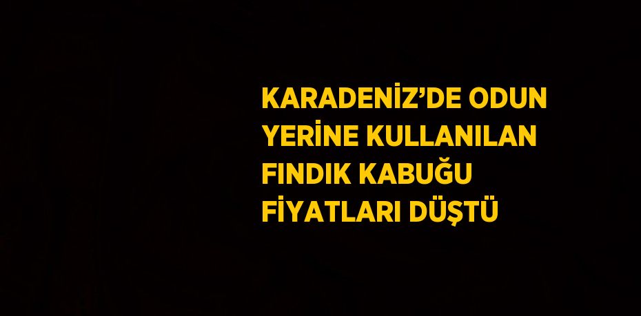 KARADENİZ’DE ODUN YERİNE KULLANILAN FINDIK KABUĞU FİYATLARI DÜŞTÜ