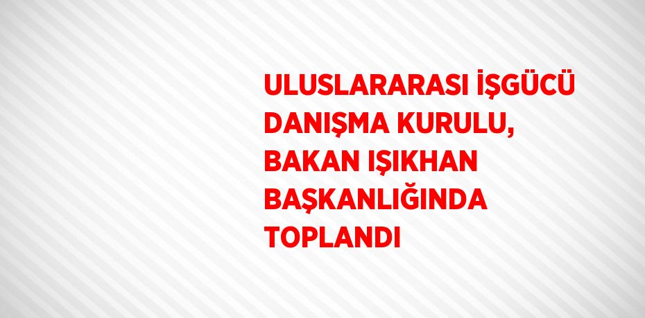 ULUSLARARASI İŞGÜCÜ DANIŞMA KURULU, BAKAN IŞIKHAN BAŞKANLIĞINDA TOPLANDI