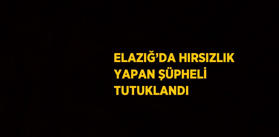 ELAZIĞ’DA HIRSIZLIK YAPAN ŞÜPHELİ TUTUKLANDI