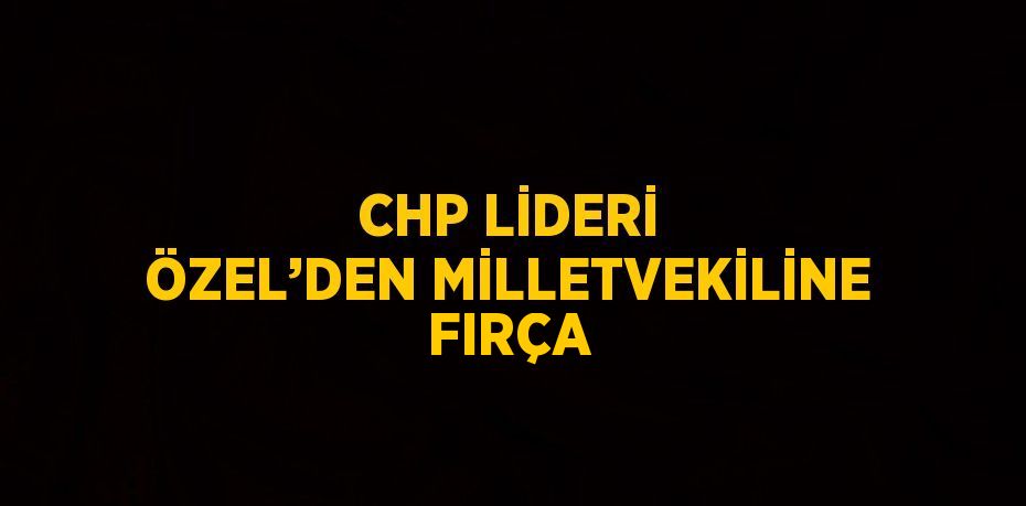 CHP LİDERİ ÖZEL’DEN MİLLETVEKİLİNE FIRÇA