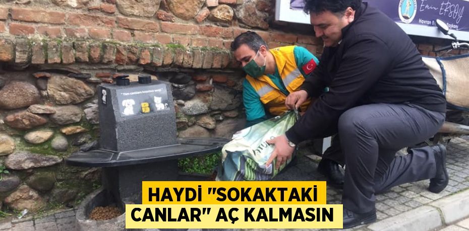 HAYDİ ‘’Sokaktaki Canlar’’ Aç Kalmasın