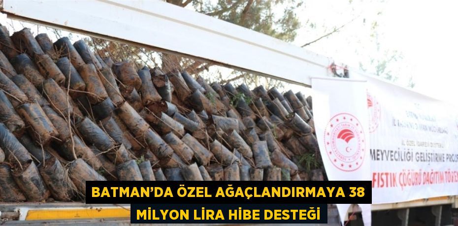 BATMAN’DA ÖZEL AĞAÇLANDIRMAYA 38 MİLYON LİRA HİBE DESTEĞİ