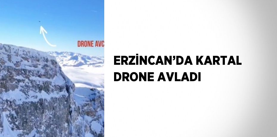 ERZİNCAN’DA KARTAL DRONE AVLADI