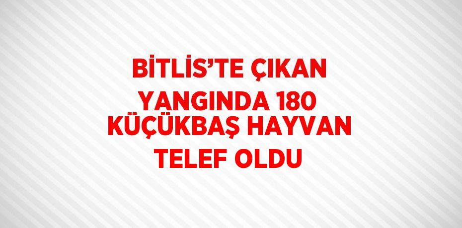 BİTLİS’TE ÇIKAN YANGINDA 180 KÜÇÜKBAŞ HAYVAN TELEF OLDU