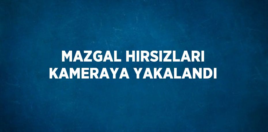 MAZGAL HIRSIZLARI KAMERAYA YAKALANDI