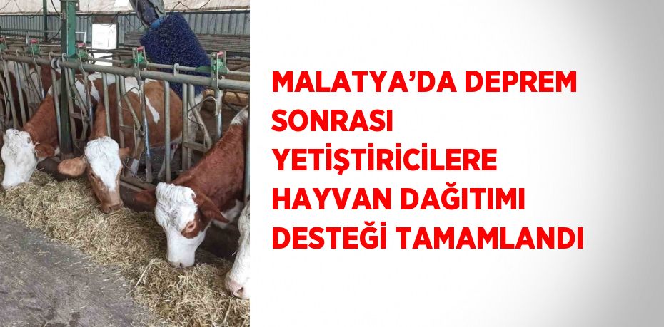 MALATYA’DA DEPREM SONRASI YETİŞTİRİCİLERE HAYVAN DAĞITIMI DESTEĞİ TAMAMLANDI