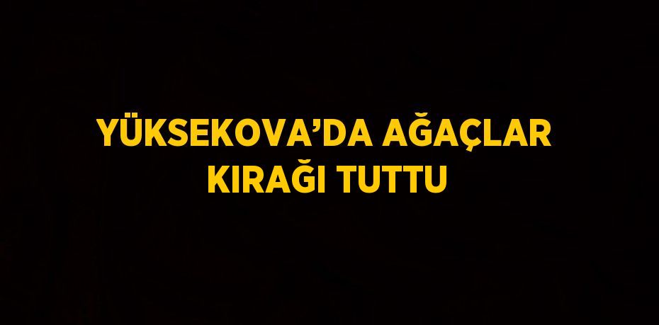 YÜKSEKOVA’DA AĞAÇLAR KIRAĞI TUTTU