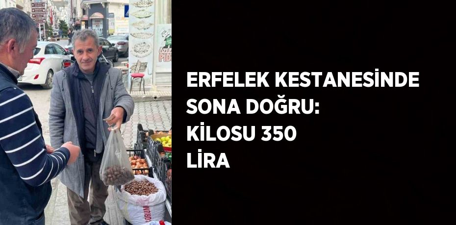 ERFELEK KESTANESİNDE SONA DOĞRU: KİLOSU 350 LİRA