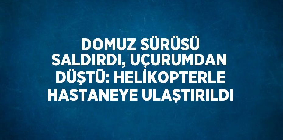 DOMUZ SÜRÜSÜ SALDIRDI, UÇURUMDAN DÜŞTÜ: HELİKOPTERLE HASTANEYE ULAŞTIRILDI