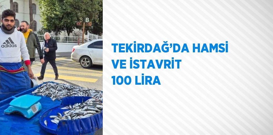 TEKİRDAĞ’DA HAMSİ VE İSTAVRİT 100 LİRA