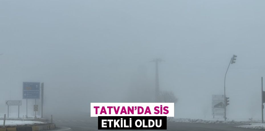 TATVAN’DA SİS ETKİLİ OLDU