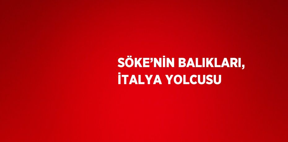 SÖKE’NİN BALIKLARI, İTALYA YOLCUSU