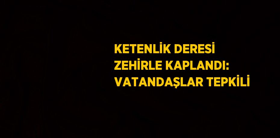 KETENLİK DERESİ ZEHİRLE KAPLANDI: VATANDAŞLAR TEPKİLİ