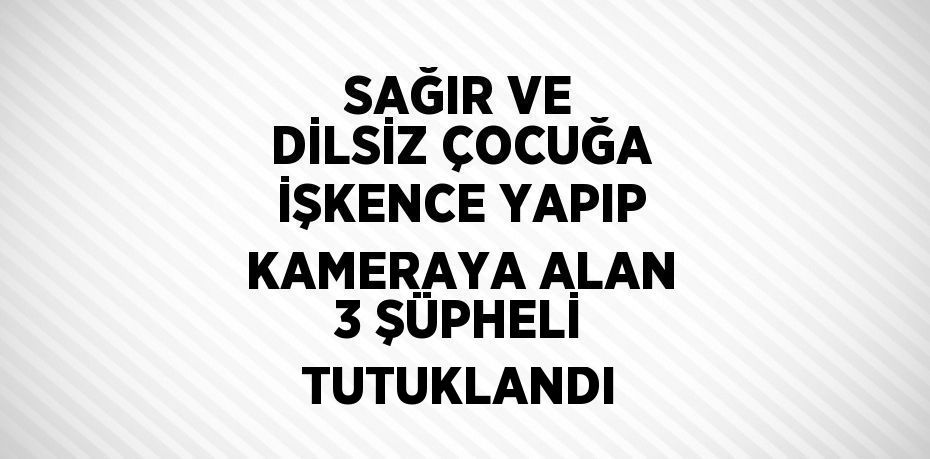 SAĞIR VE DİLSİZ ÇOCUĞA İŞKENCE YAPIP KAMERAYA ALAN 3 ŞÜPHELİ TUTUKLANDI