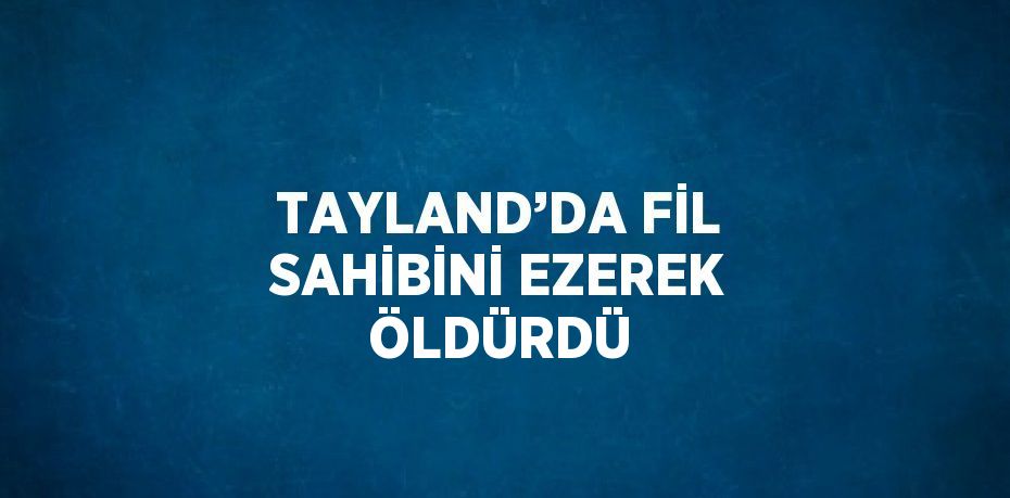 TAYLAND’DA FİL SAHİBİNİ EZEREK ÖLDÜRDÜ