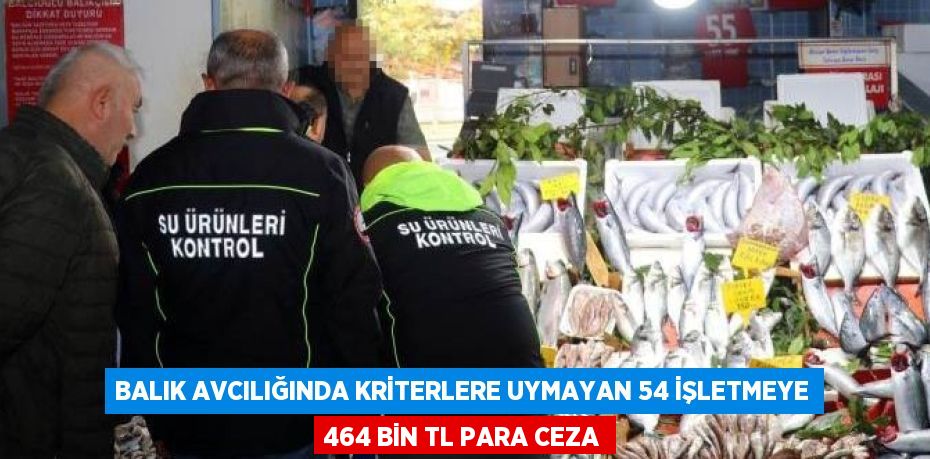 BALIK AVCILIĞINDA KRİTERLERE UYMAYAN 54 İŞLETMEYE 464 BİN TL PARA CEZA