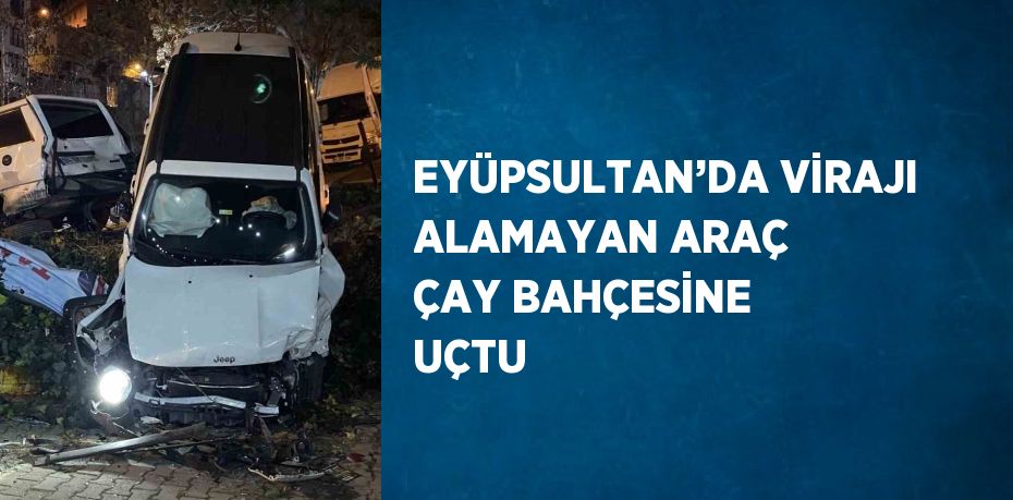 EYÜPSULTAN’DA VİRAJI ALAMAYAN ARAÇ ÇAY BAHÇESİNE UÇTU