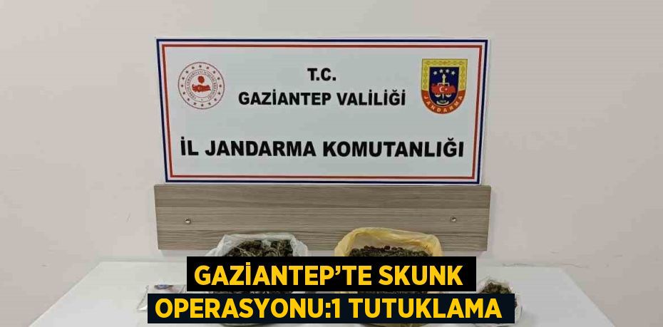 GAZİANTEP’TE SKUNK OPERASYONU:1 TUTUKLAMA