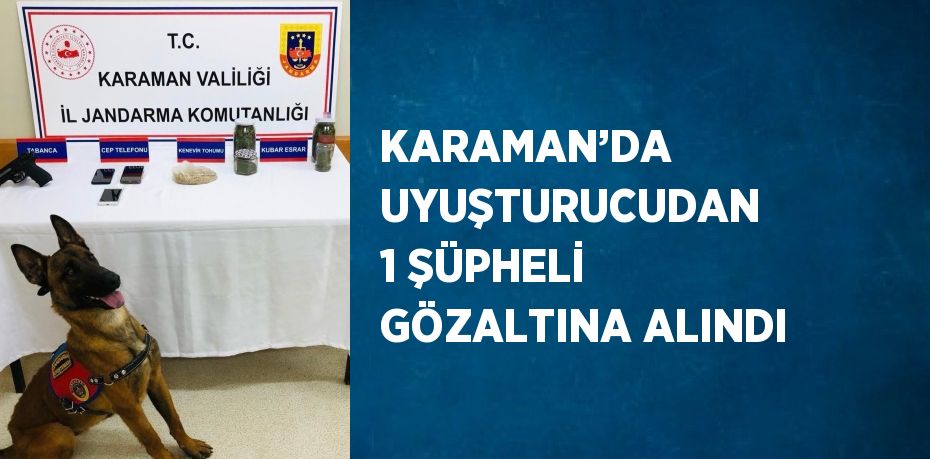 KARAMAN’DA UYUŞTURUCUDAN 1 ŞÜPHELİ GÖZALTINA ALINDI