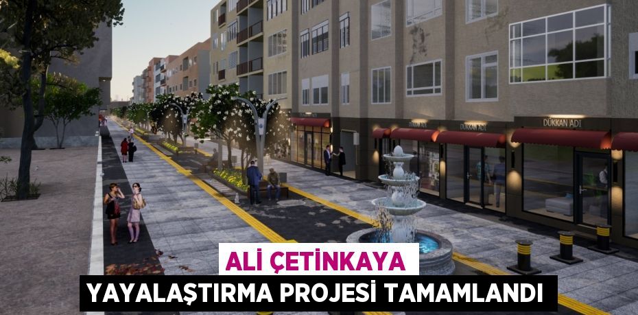 ALİ ÇETİNKAYA YAYALAŞTIRMA PROJESİ TAMAMLANDI