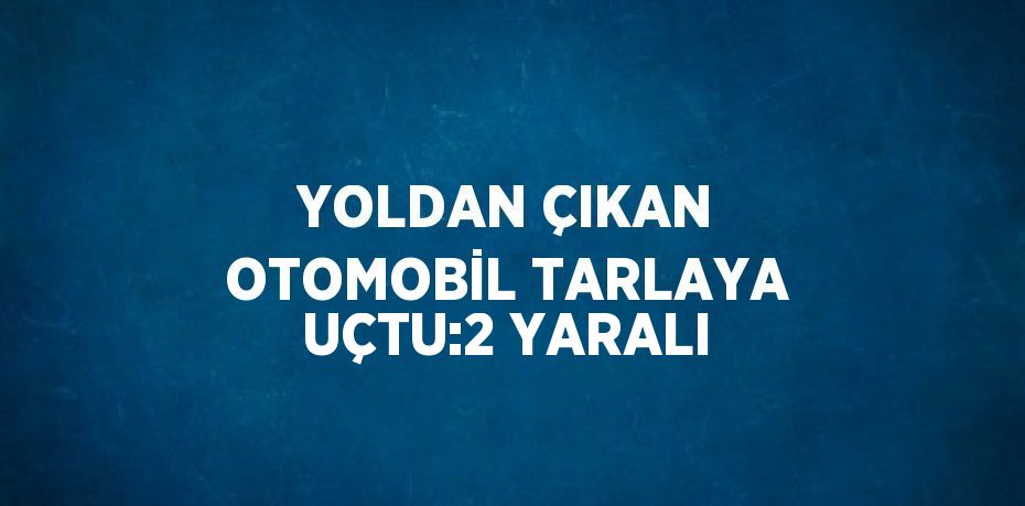 YOLDAN ÇIKAN OTOMOBİL TARLAYA UÇTU:2 YARALI
