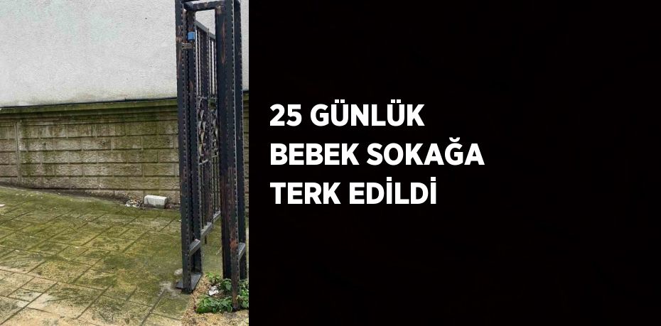 25 GÜNLÜK BEBEK SOKAĞA TERK EDİLDİ