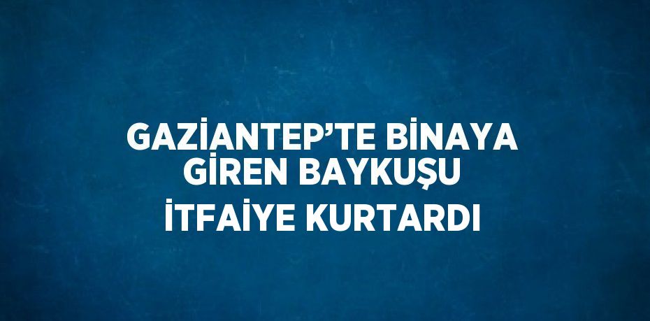 GAZİANTEP’TE BİNAYA GİREN BAYKUŞU İTFAİYE KURTARDI