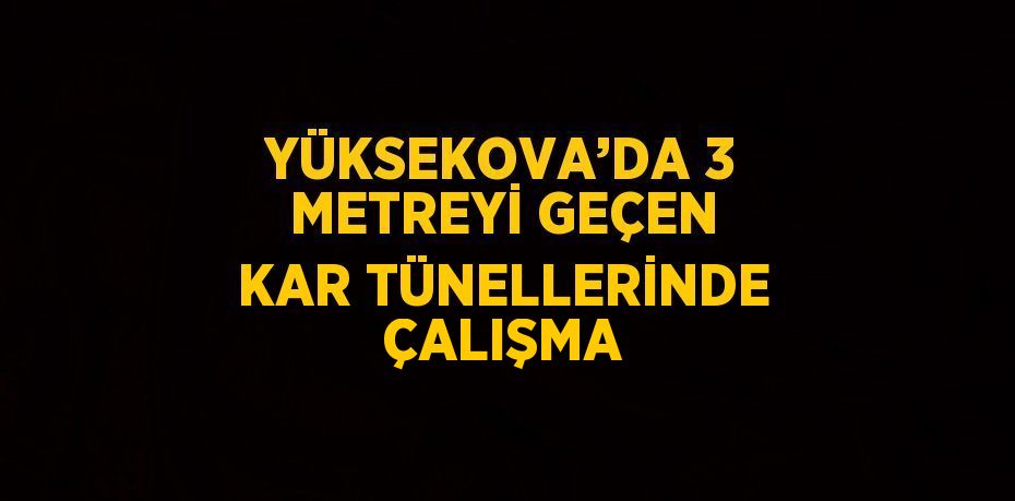 YÜKSEKOVA’DA 3 METREYİ GEÇEN KAR TÜNELLERİNDE ÇALIŞMA