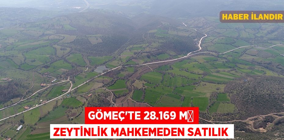 Gömeç'te 28.169 m² Zeytinlik mahkemeden satılık