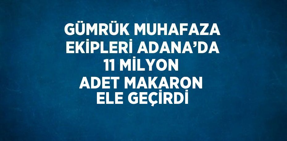 GÜMRÜK MUHAFAZA EKİPLERİ ADANA’DA 11 MİLYON ADET MAKARON ELE GEÇİRDİ