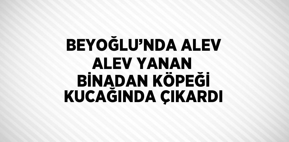 BEYOĞLU’NDA ALEV ALEV YANAN BİNADAN KÖPEĞİ KUCAĞINDA ÇIKARDI