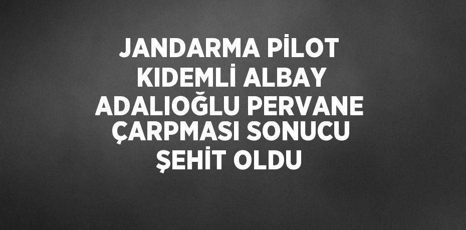JANDARMA PİLOT KIDEMLİ ALBAY ADALIOĞLU PERVANE ÇARPMASI SONUCU ŞEHİT OLDU