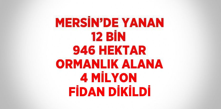 MERSİN’DE YANAN 12 BİN 946 HEKTAR ORMANLIK ALANA 4 MİLYON FİDAN DİKİLDİ