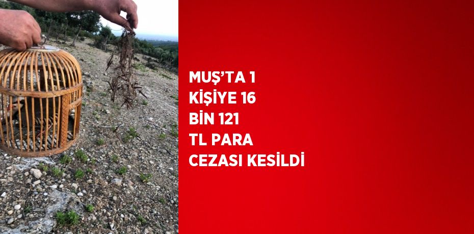 MUŞ’TA 1 KİŞİYE 16 BİN 121 TL PARA CEZASI KESİLDİ